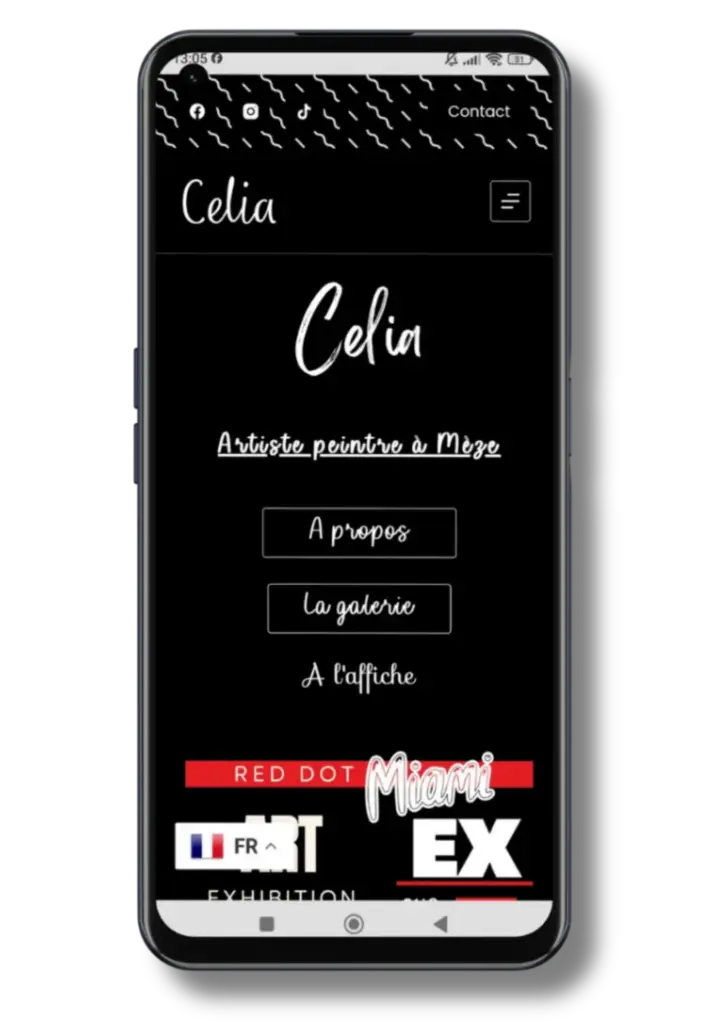 Création site Web Perpignan, Agence Web à Cannes