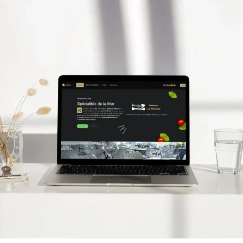 Agence Web dans l'Hérault